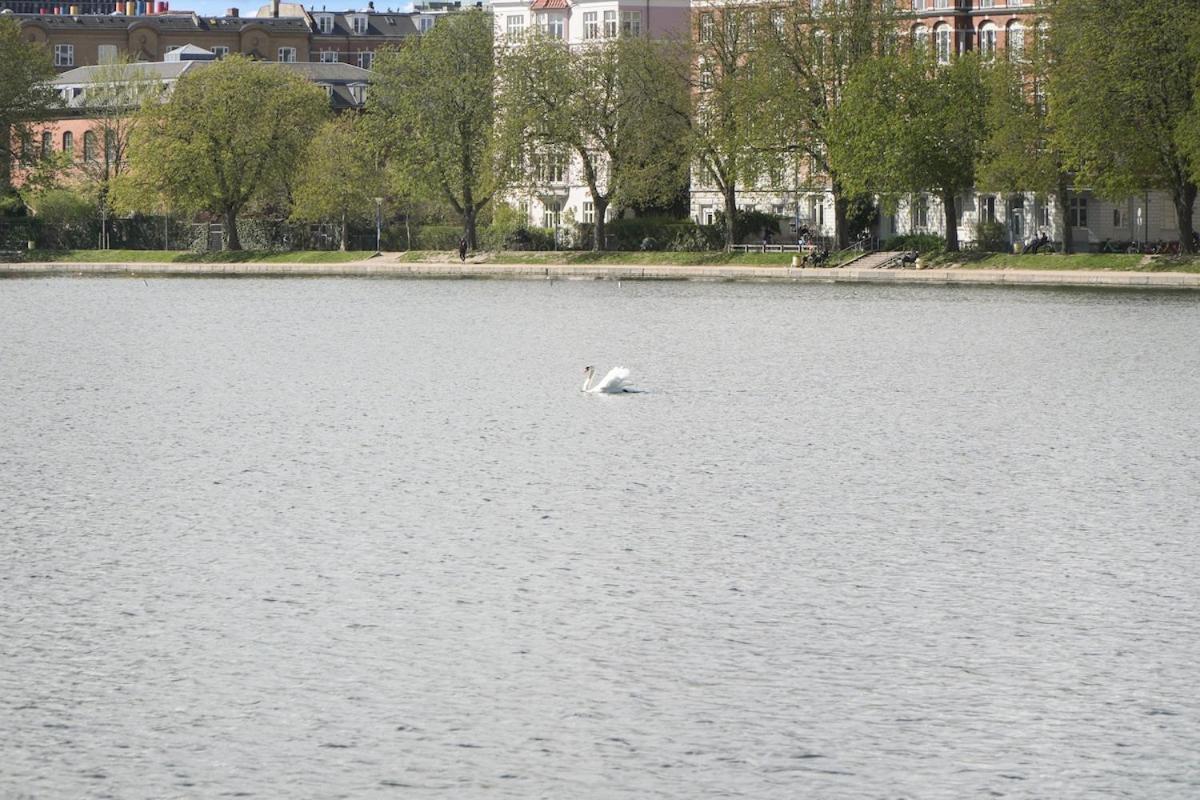Spacious And Stylish In Cph *